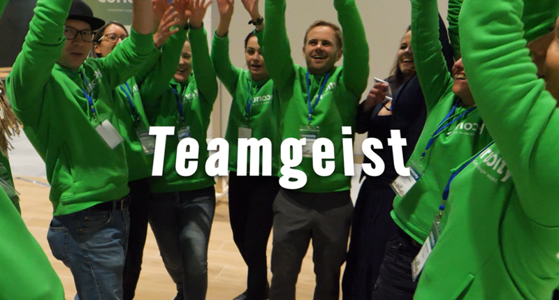 Curiocity Team Stellen FSJ